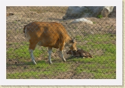 DSC_4291 Newborn * 700 x 464 * (337KB)
